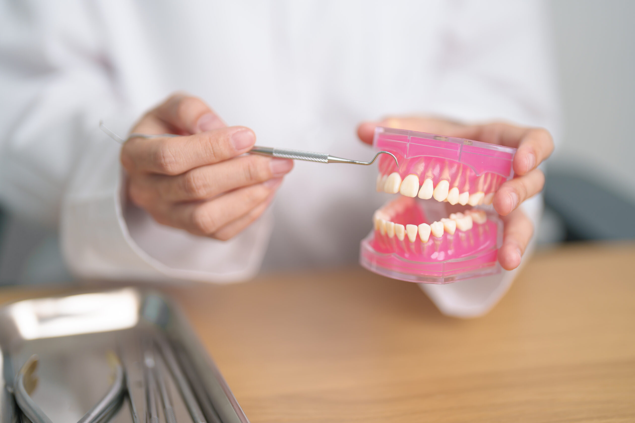 Tooth Anatomy for Patients: Understanding the Structure of Your Smile