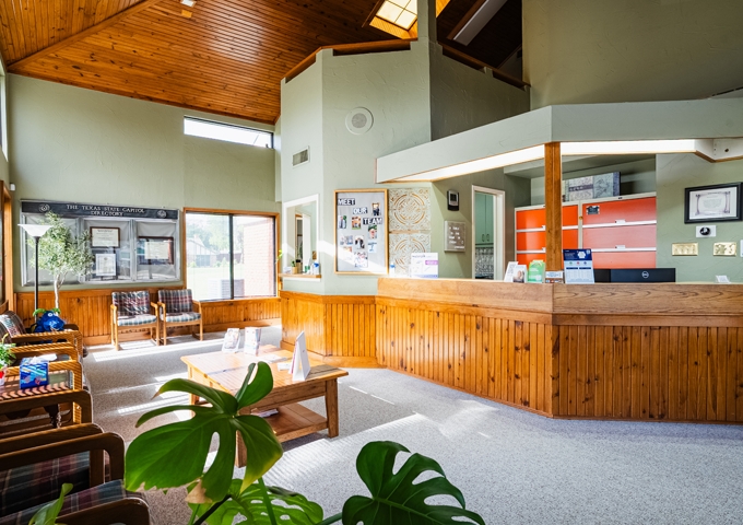 Sunlit waiting area at Pecan Tree Family Dentistry in McKinney, TX, featuring a high wood-paneled ceiling, potted plants, plaid-upholstered chairs, and a wooden reception desk.
